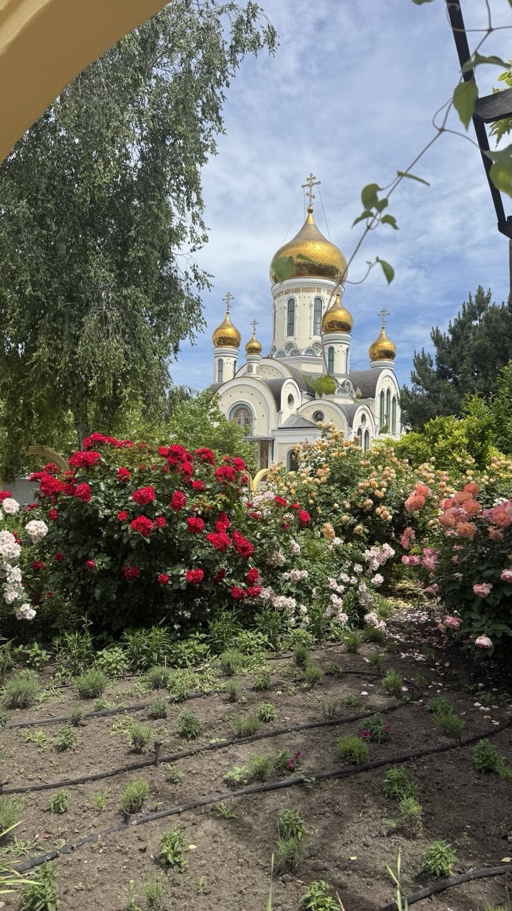Odessa